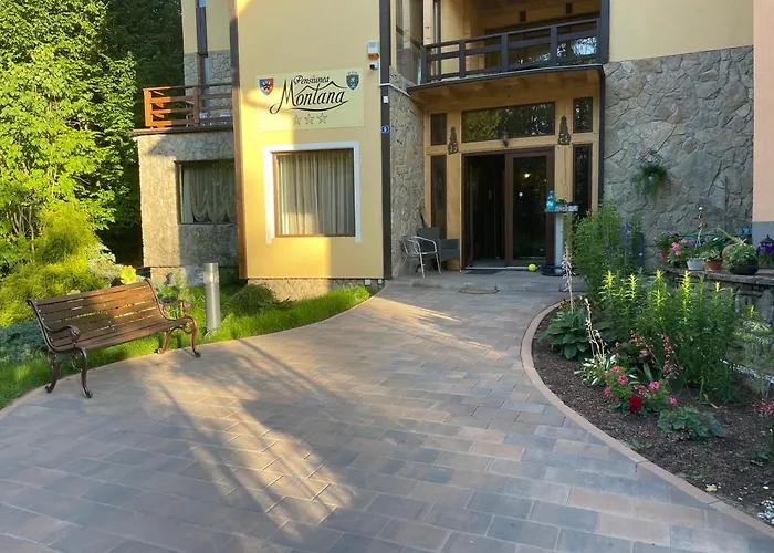 Montana Hotel Sucevita